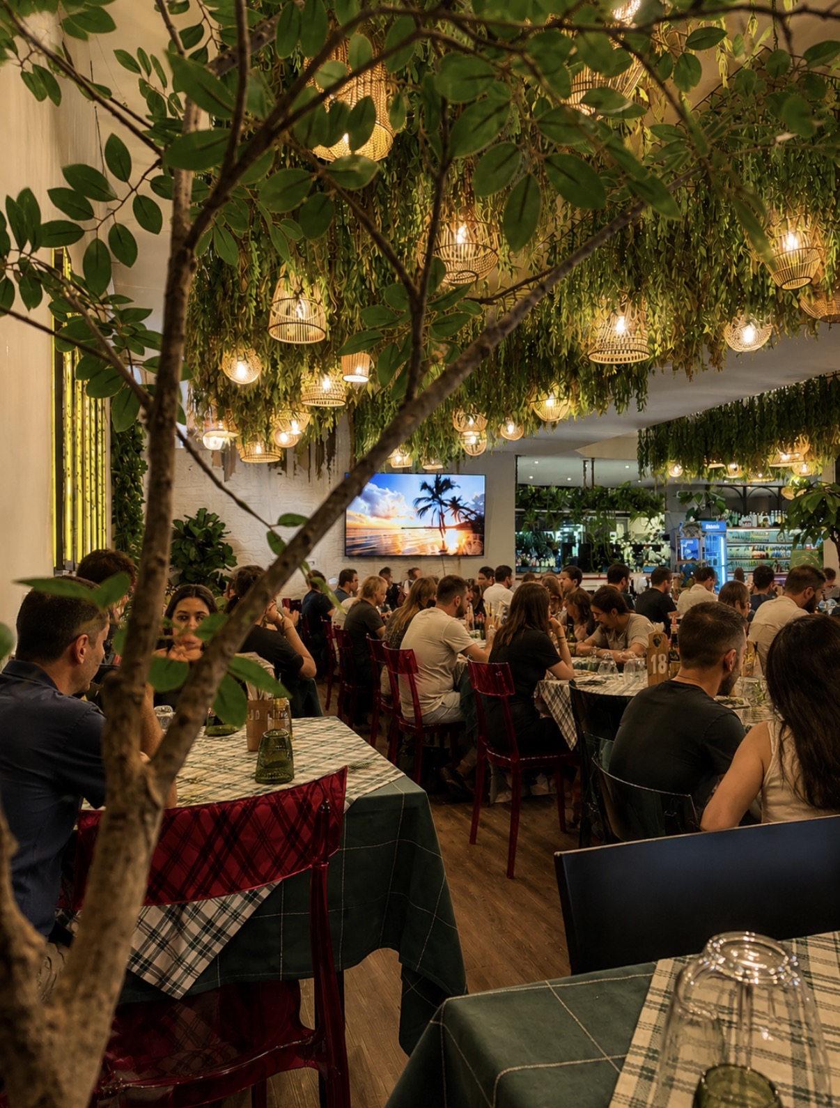Atmosfera, cocktail, bevande e dolci L'Oliveto