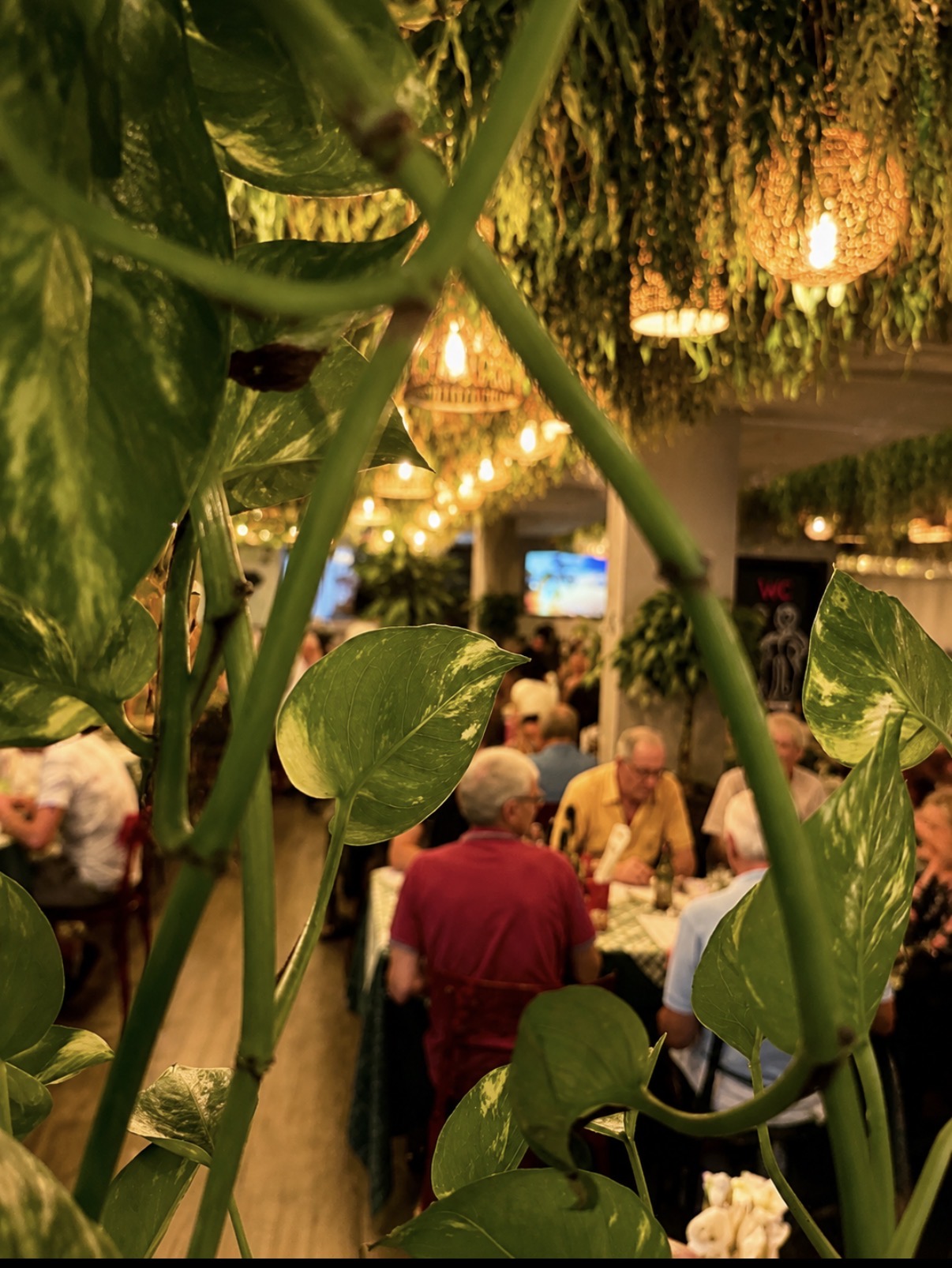 Atmosfera, cocktail, bevande e dolci L'Oliveto