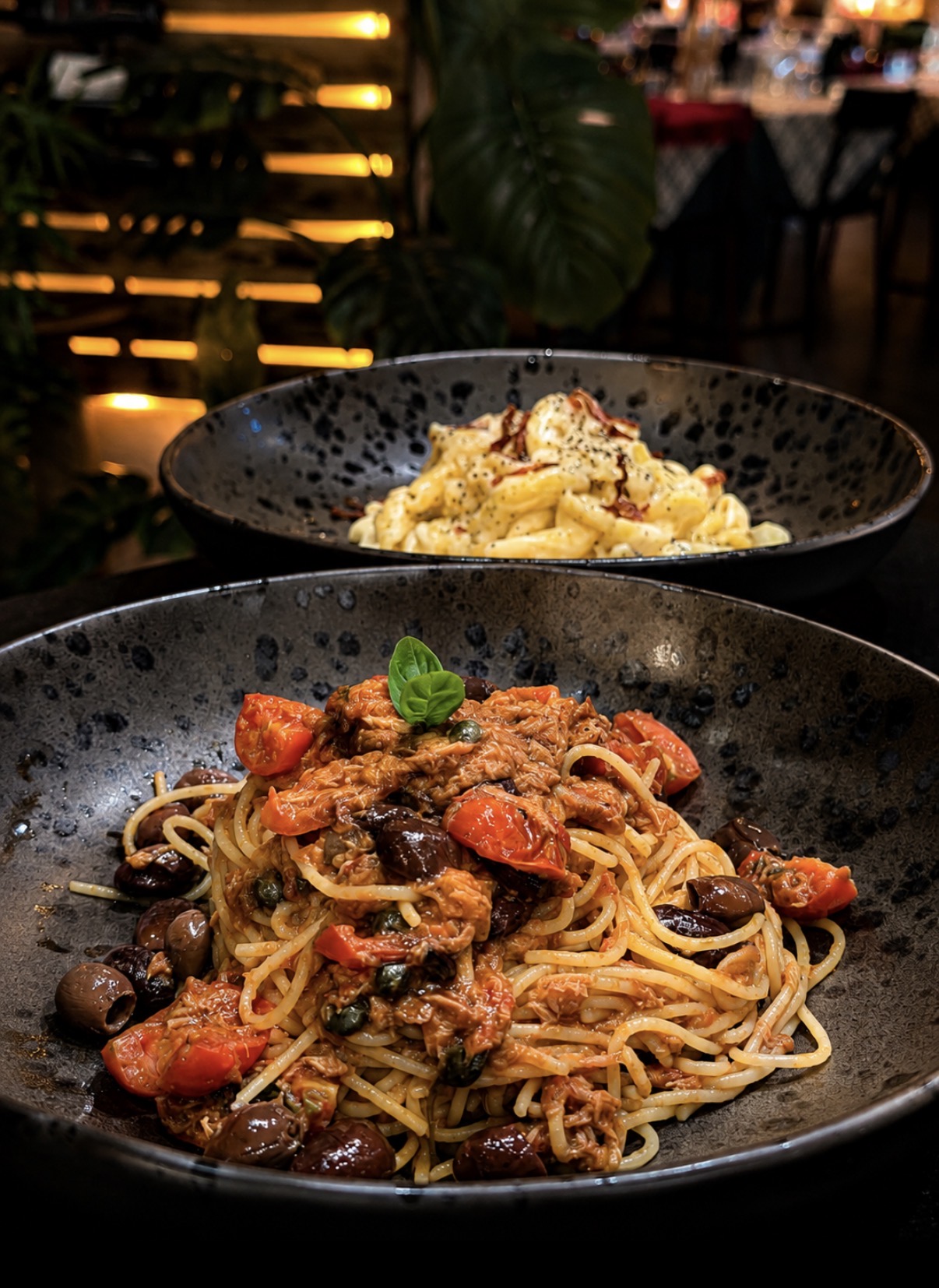 Piatti della cucina L'Oliveto